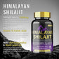 BSYS SHILAJIT GUMMIES 60'S